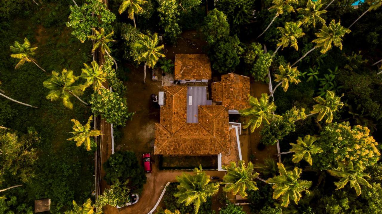Piggy Hostel Varkala Exteriér fotografie